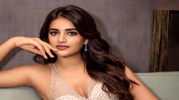 Celebrity Photos of Nidhhi Agerwal