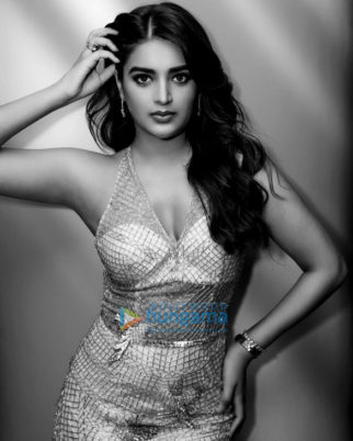 Celebrity Photos of Nidhhi Agerwal