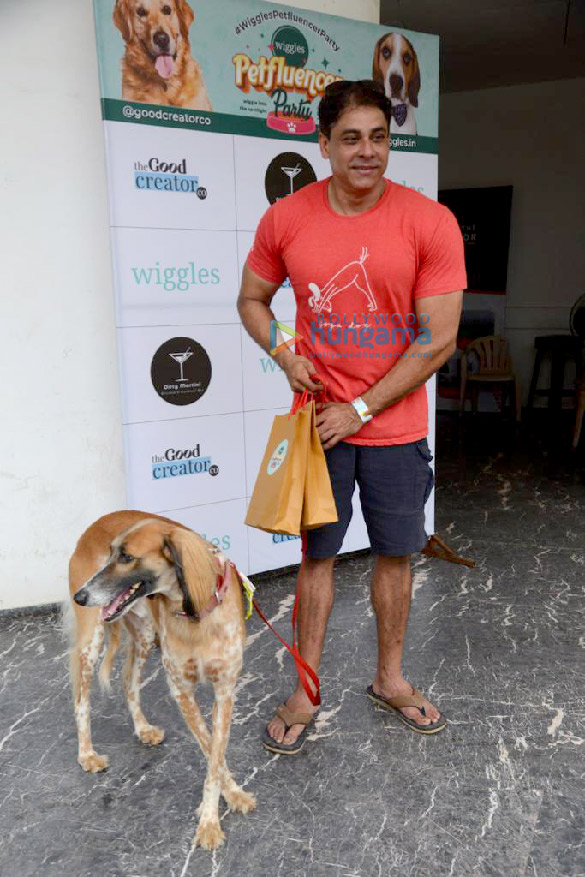 photos celebrity pet parents grace the petfluencer party 4