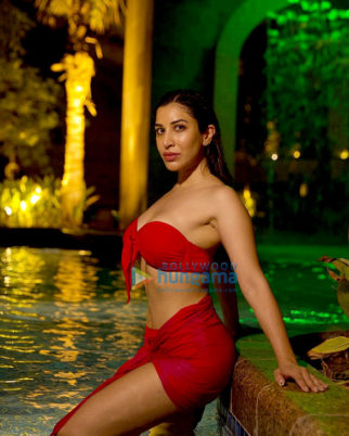 Celeb Photos Of Sophie Choudry