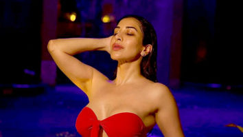 Celeb Photos Of Sophie Choudry