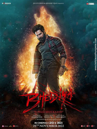 First Look of the movie Bhediya