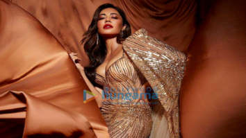 Celebrity Photos of Chitrangda Singh