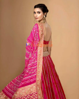 Celebrity Photos of Diana Penty