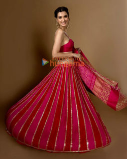 Celebrity Photos of Diana Penty