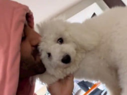 Kartik Aaryan’s pet Katori is incharge of his car today!