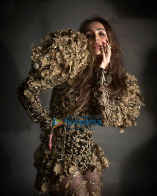 Celebrity Photos of Malaika Arora