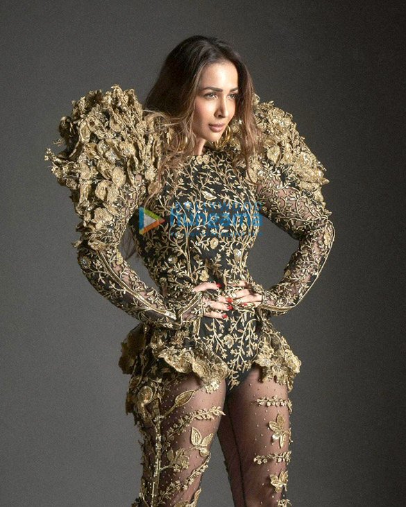 malaika arora 3 115
