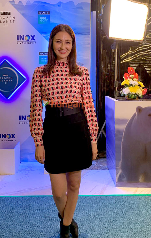 photos shivin narang rajshree thakur and other celebs grace the special screening of sony bbc earths frozen planet ii 5