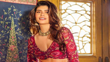 Celebrity Photos of Sanjana Sanghi