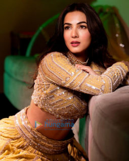 Celebrity Photos of Sonal Chauhan
