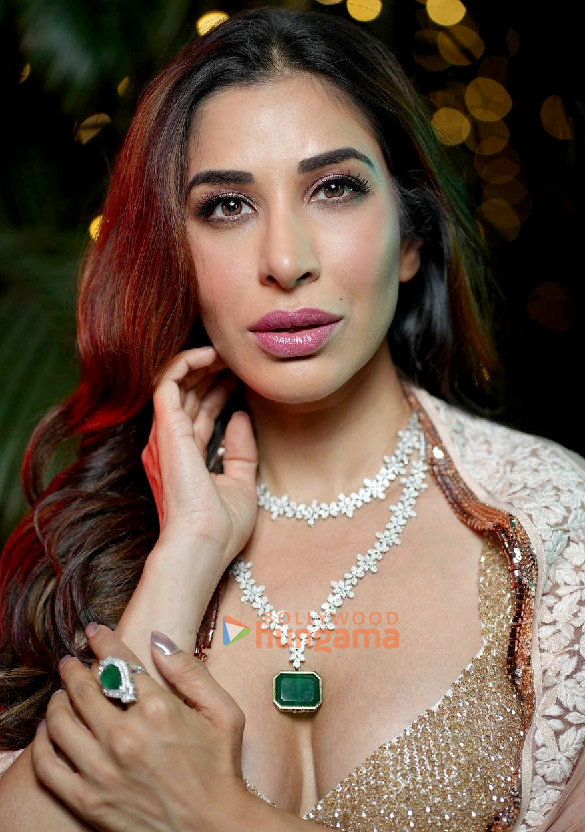 sophie choudry 3 54