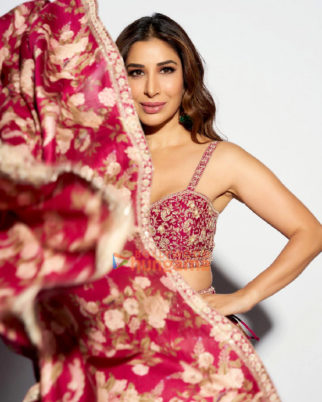 Celeb Photos Of Sophie Choudry
