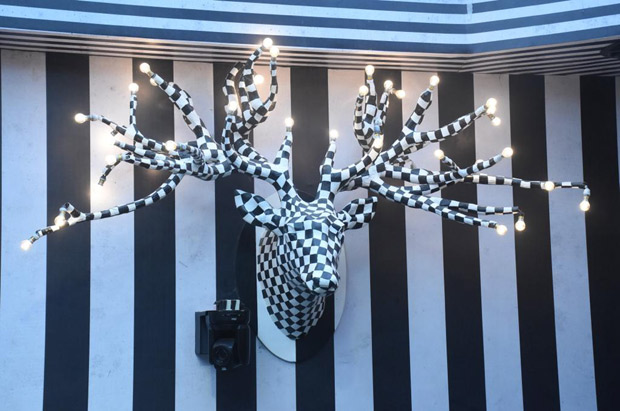Bigg Boss 16: Salman Khan-hosted show gets circus-theme fantasy make-over; see inside photos of new house Bigg Boss 16: Salman Khan-hosted show gets circus-theme fantasy make-over; see inside photos of new house