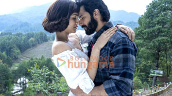 Movie Stills Of The Movie Bhediya