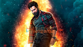 Movie Stills Of The Movie Bhediya