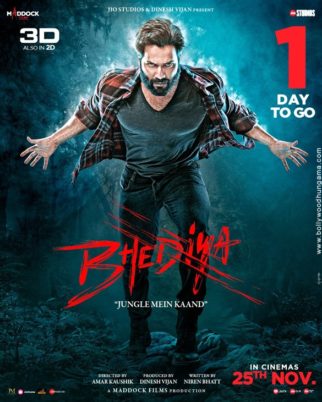 First Look Of The Movie Bhediya