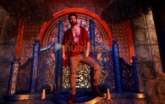 Movie Stills Of The Movie Bhediya