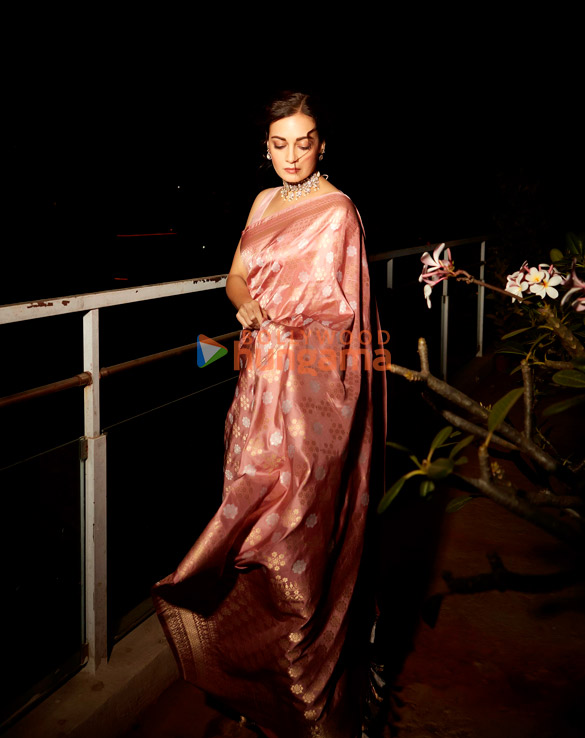 dia mirza 1 35