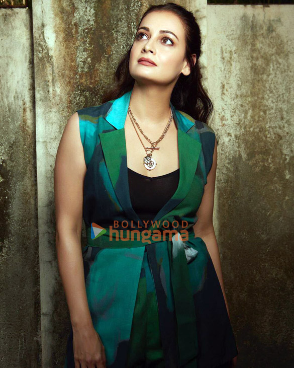 dia mirza 3 29