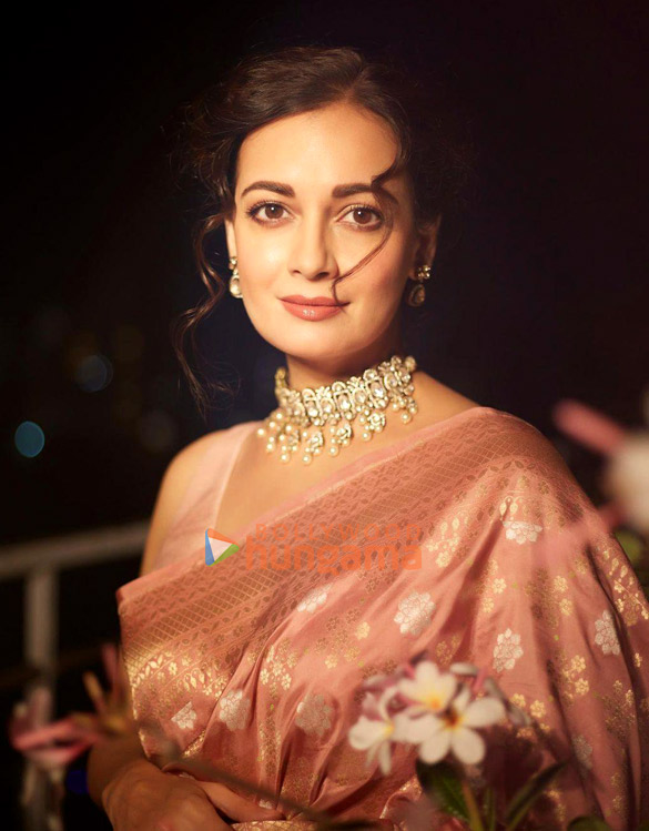 dia mirza 5 11