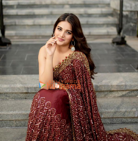 nidhhi agerwal 2 10