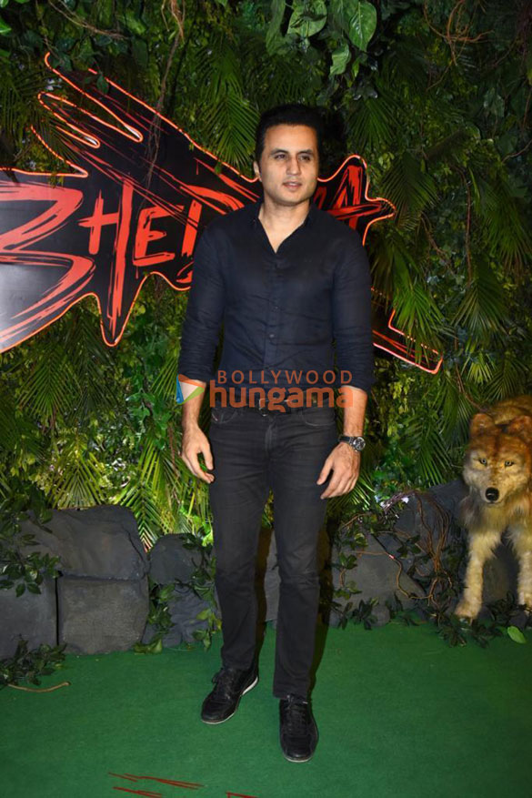photos celebs attend the premiere of bhediya 3