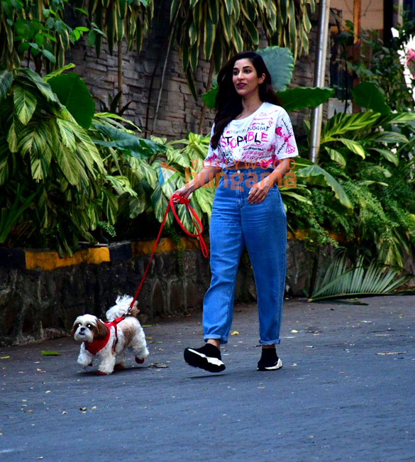 photos sophie choudry spotted with her pet in bandra 5