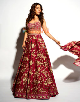 Celeb Photos Of Sophie Choudry