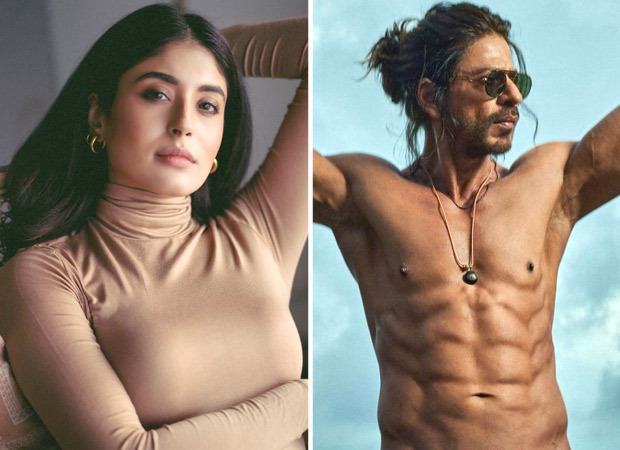 EXCLUSIVE: Kritika Kamra recalls Shah Rukh Khan “took things into his hands” when she interviewed him; shares her fangirl moment, watch