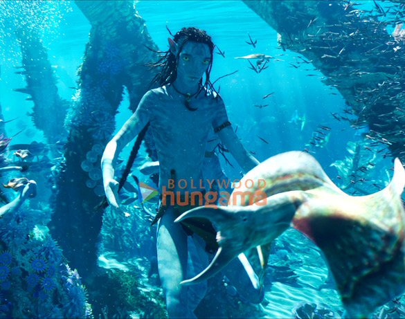 avatar the way of water english 10