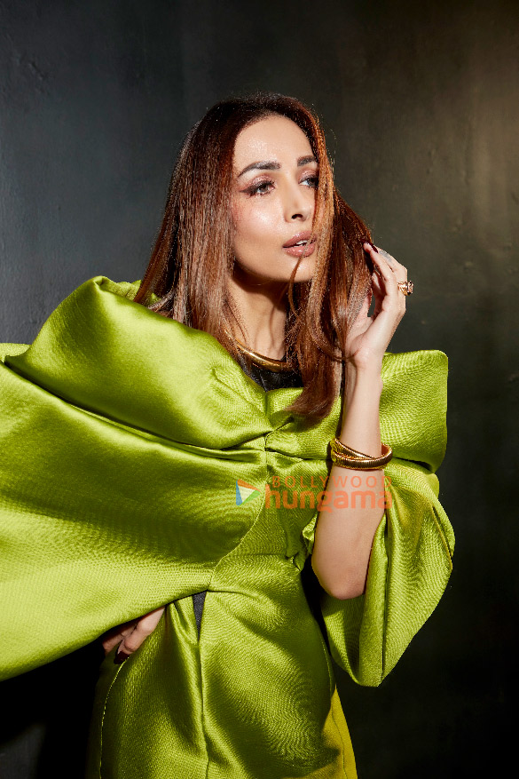 malaika arora 3 134