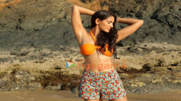 Celebrity Photos of Nikita Dutta