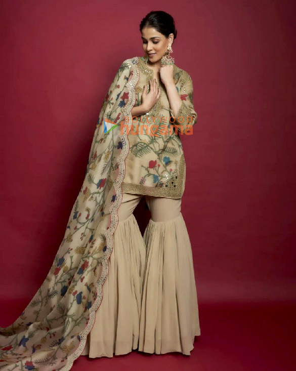 genelia dsouza 2 45