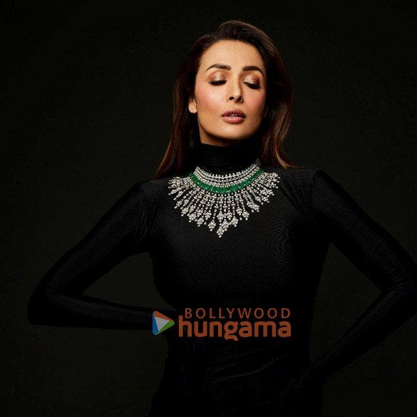 malaika arora 2 178