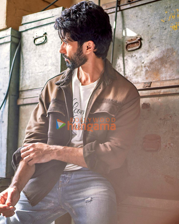 shahkapoorid 1
