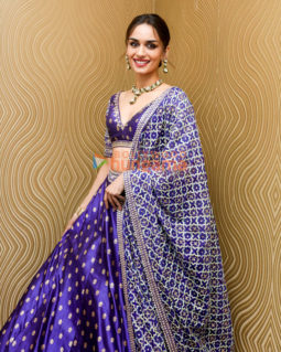 Manushi Chhillar