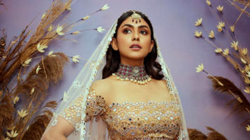 Celeb Photos Of Mrunal Thakur