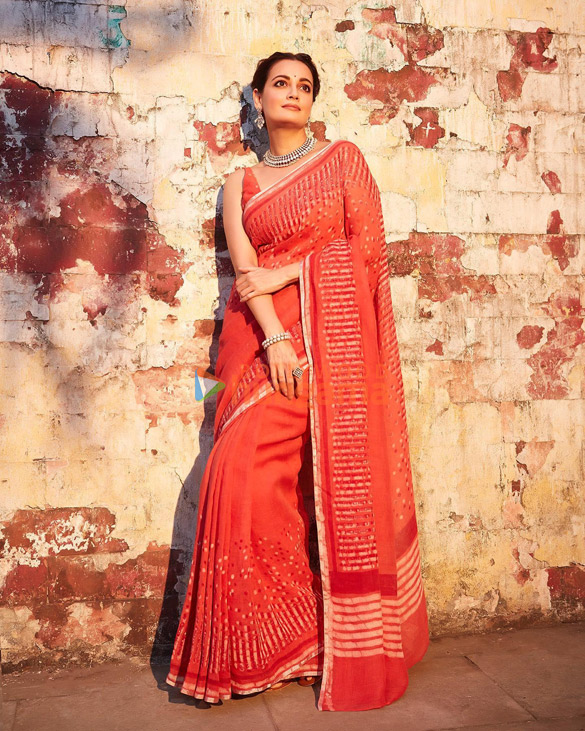dia mirza 6 10