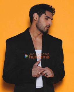 Ahan Shetty