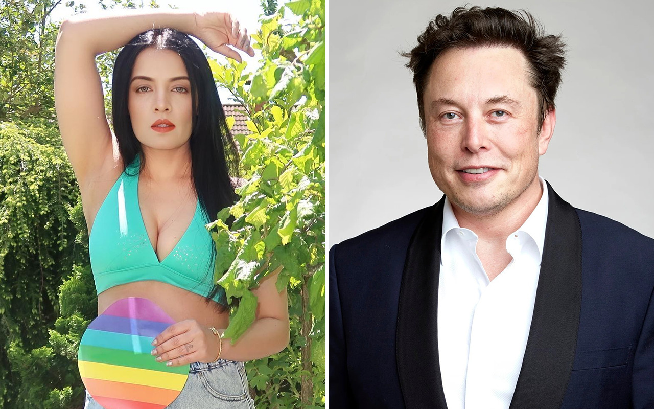 Celina Jaitly requests Elon Musk to provide special blue tick recognition to ‘global icons’ like Amitabh Bachchan; says, “They have made Twitter what it is today” : Bollywood News