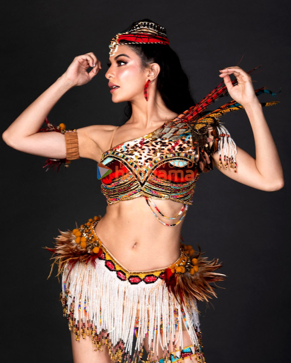 jacqueline fernandez 4 61
