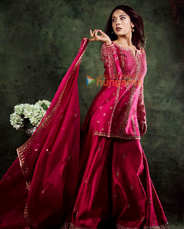 shehnaaz gill 2 38