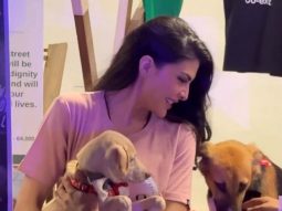 Jacqueline Fernandez’s YOLO foundation takes initiative to help stray animals with sterilisation and adoption