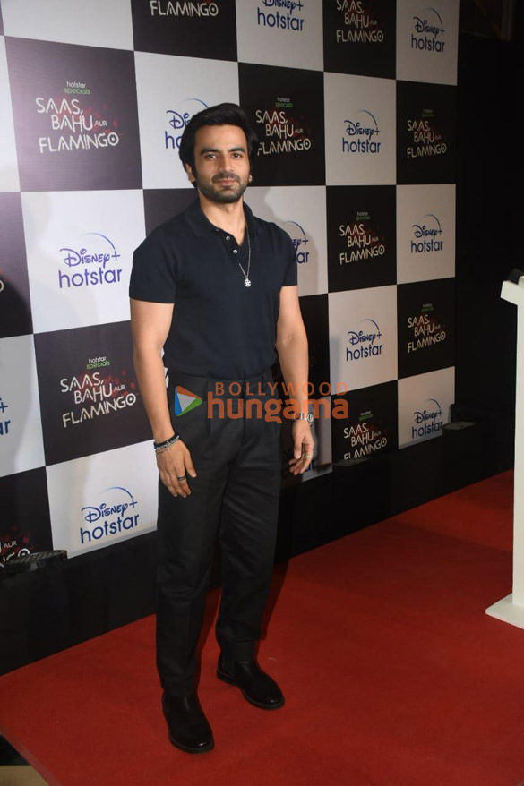 photos celebs grace the premiere of saas bahu aur flamingo 5
