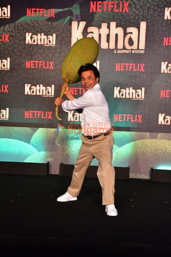 photos celebs grace the trailer launch of kathal 547 3