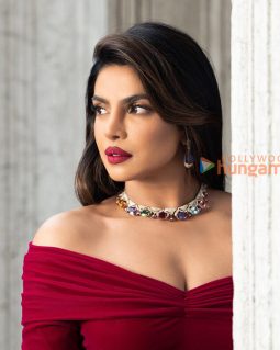 Priyanka Chopra Jonas