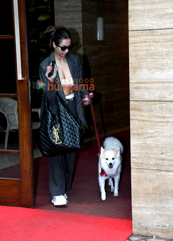 photos malaika arora spotted in khar 4 12
