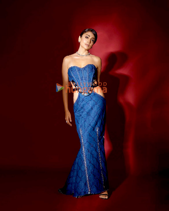 shriya saran 2 72