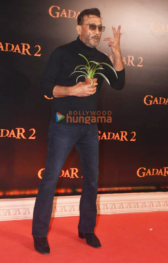 photos celebs grace the premiere of gadar 2 808 10